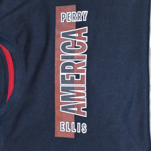 Perry Ellis America T-Shirt Boys Sz L 14/16) Pre-Owned (Great Condition)!!!! - Picture 4 of 5